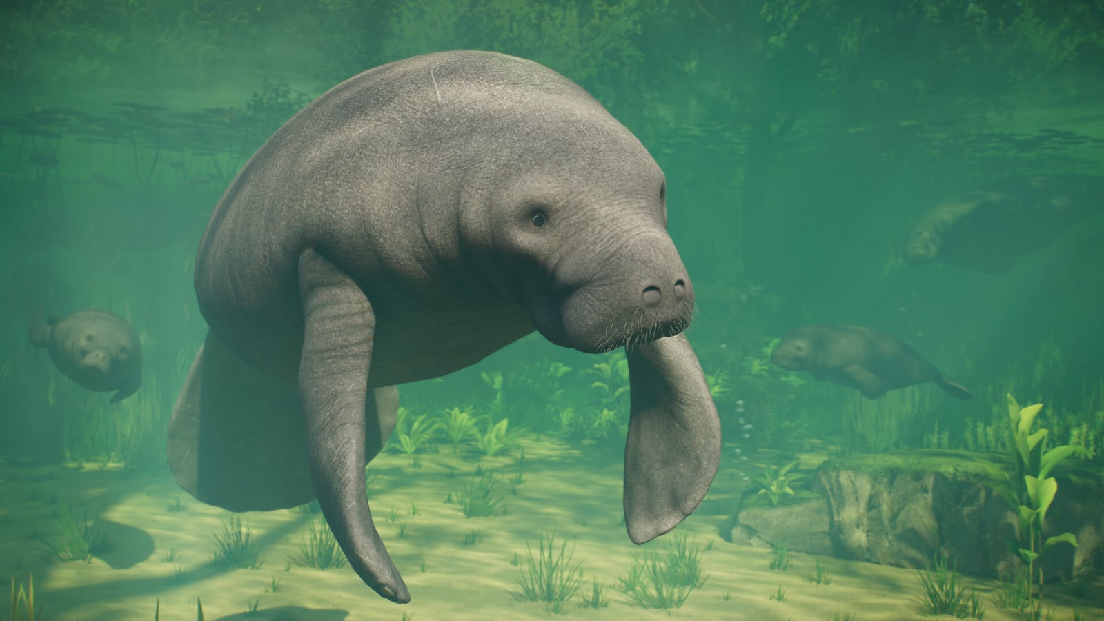 動物園経営シム『プラネット ズー 2』、Steam同接4万5000人の好発進。前作から鳥と水生生物追加、ハシビロコウやマナティ、サメも飼える