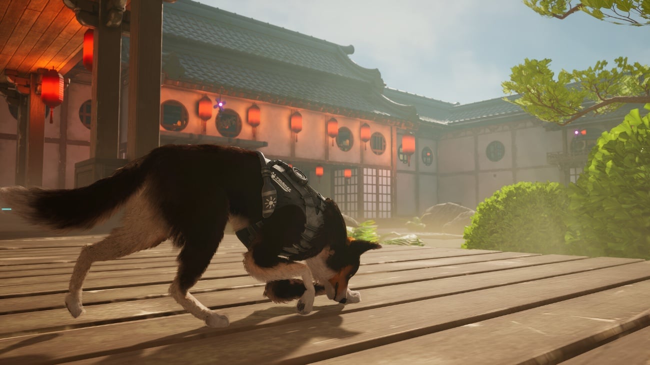 「もふもふスパイ犬」アクション『バークール』は“元軍用犬をモーキャプ”した特殊部隊わんこムーブ、時々はしゃぐ。ハイテクメカ活用ステルスゲーム、デモ版配信中